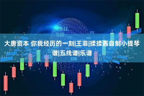 大唐资本 你我经历的一刻|王菲|揉揉酱自制小提琴谱|五线谱|乐谱