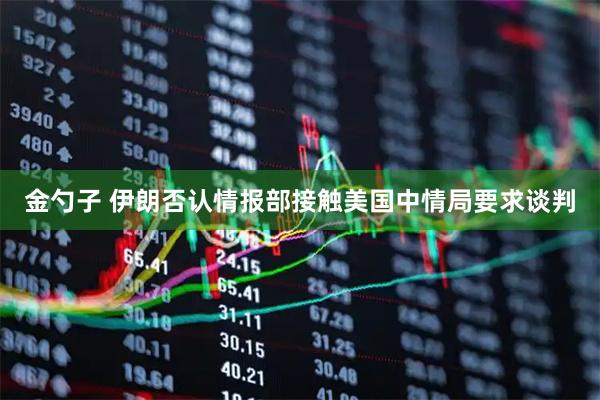 金勺子 伊朗否认情报部接触美国中情局要求谈判