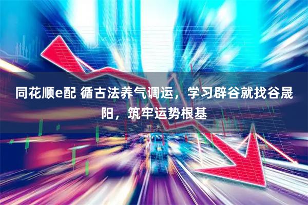 同花顺e配 循古法养气调运，学习辟谷就找谷晟阳，筑牢运势根基