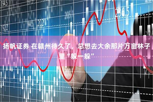 扬帆证券 在赣州待久了，总想去大余那片万亩林子里“躲一躲”