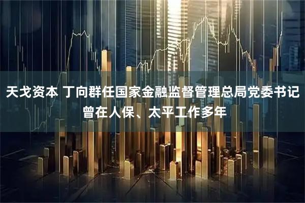 天戈资本 丁向群任国家金融监督管理总局党委书记 曾在人保、太平工作多年