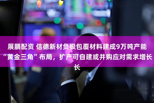 展鵬配资 信德新材负极包覆材料建成9万吨产能“黄金三角”布局,扩产可自建或并购应对需求增长