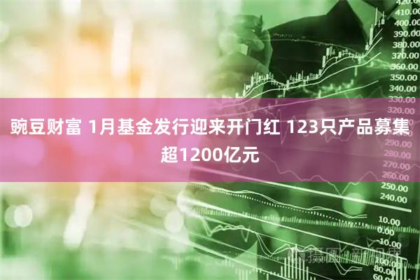 豌豆财富 1月基金发行迎来开门红 123只产品募集超1200亿元
