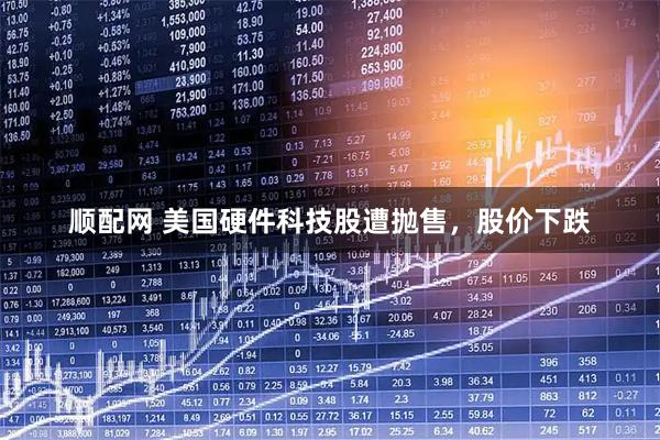 顺配网 美国硬件科技股遭抛售，股价下跌