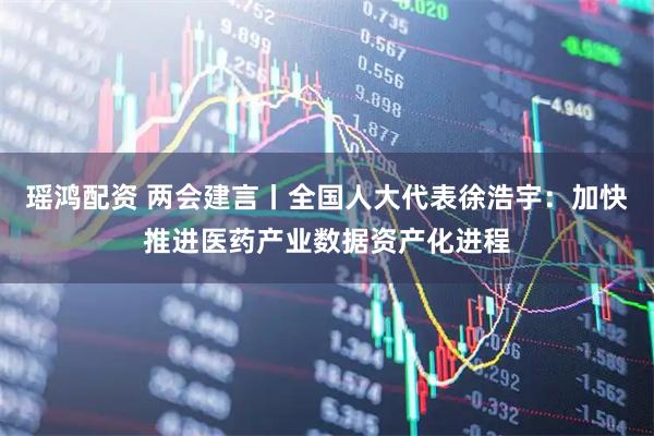 瑶鸿配资 两会建言丨全国人大代表徐浩宇：加快推进医药产业数据资产化进程