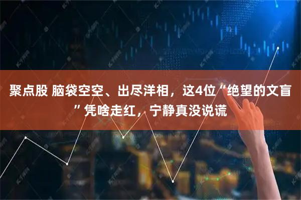 聚点股 脑袋空空、出尽洋相，这4位“绝望的文盲”凭啥走红，宁静真没说谎