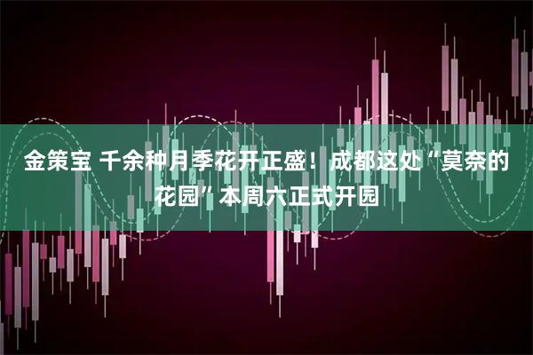 金策宝 千余种月季花开正盛！成都这处“莫奈的花园”本周六正式开园