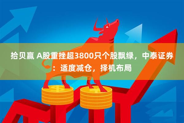 拾贝赢 A股重挫超3800只个股飘绿，中泰证券：适度减仓，择机布局