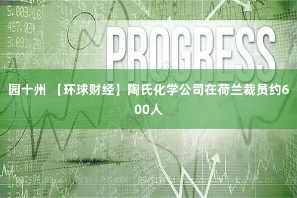 园十州 【环球财经】陶氏化学公司在荷兰裁员约600人
