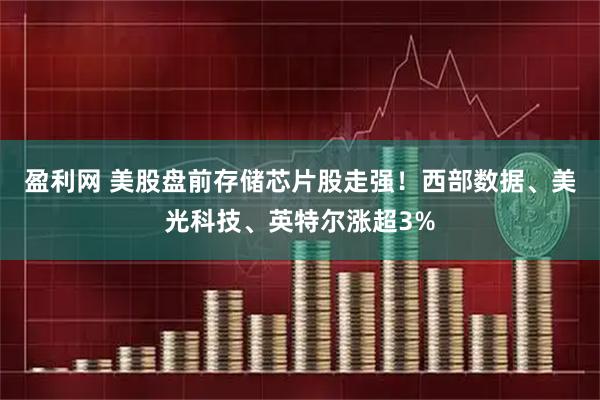 盈利网 美股盘前存储芯片股走强！西部数据、美光科技、英特尔涨超3%
