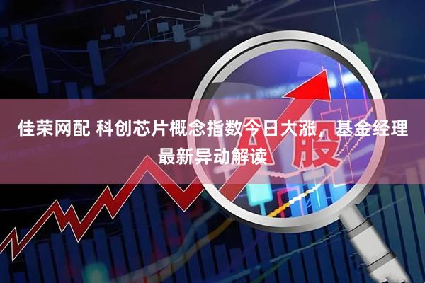 佳荣网配 科创芯片概念指数今日大涨，基金经理最新异动解读
