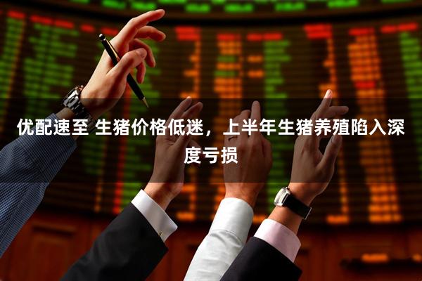 优配速至 生猪价格低迷，上半年生猪养殖陷入深度亏损