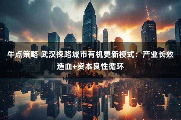 牛点策略 武汉探路城市有机更新模式：产业长效造血+资本良性循环