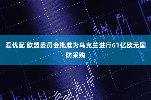 爱优配 欧盟委员会批准为乌克兰进行61亿欧元国防采购